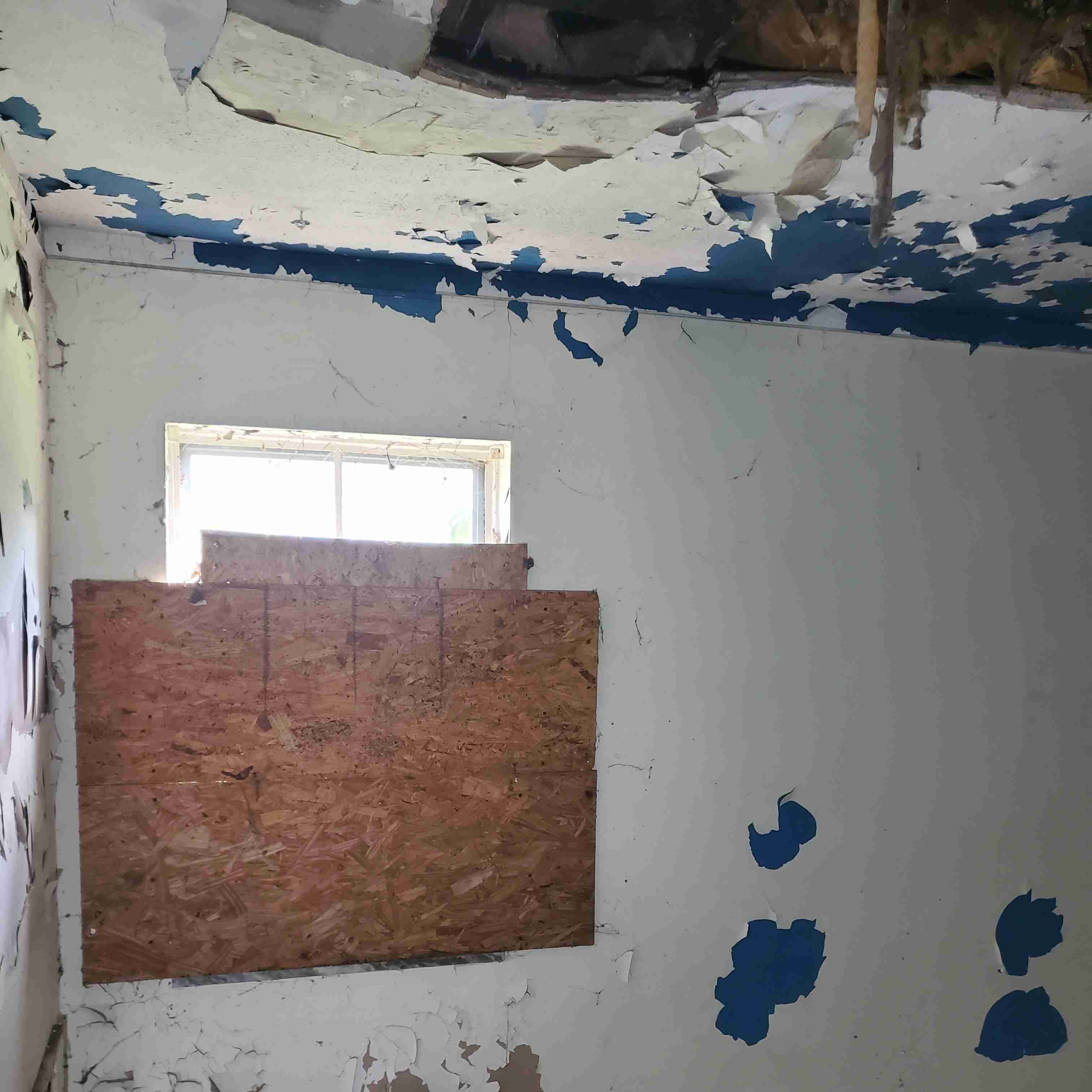 20200812_150930 (2).jpg